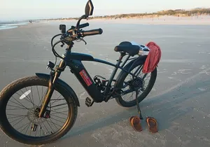 Half Day E-Bike Rentals