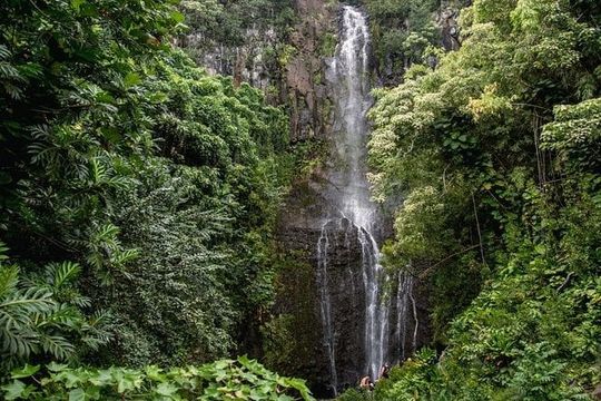 Private Hana Waterfalls Tour