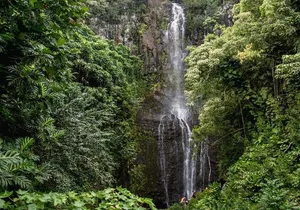 Private Hana Waterfalls Tour