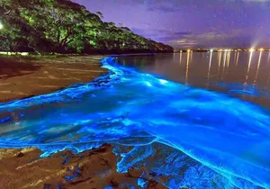 Luminous Lagoon Small Group Tour from Montego Bay