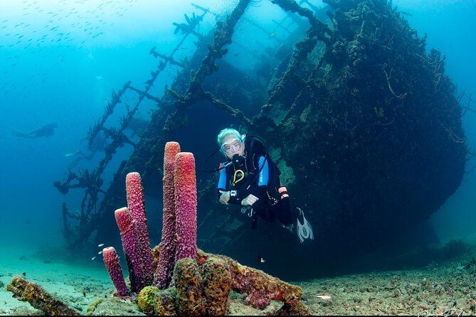 Aruba Guided Night Dive Adventure: Shallow Reefs or Shipwrecks