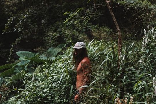 Private Road To Hana Tour with Professional Photos Included