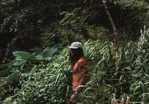 Private Road To Hana Tour with Professional Photos Included