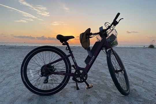 Electric Bike Rentals in Brooksville FL