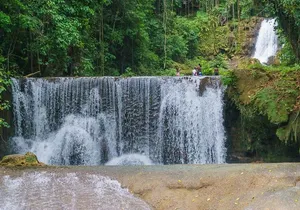 South Coast Tour: YS Falls, Black River Safari