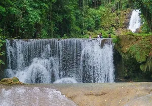 South Coast Tour: YS Falls, Black River Safari