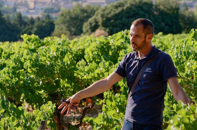 Bandol & Cassis Wine Tour From Aix en Provence