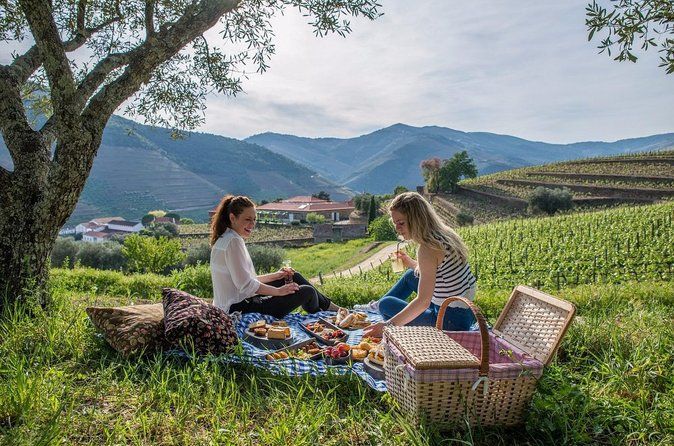Private Douro Valley Tour from Porto
