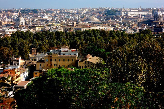 Rome Half Day Private Tour with Driver-Guide