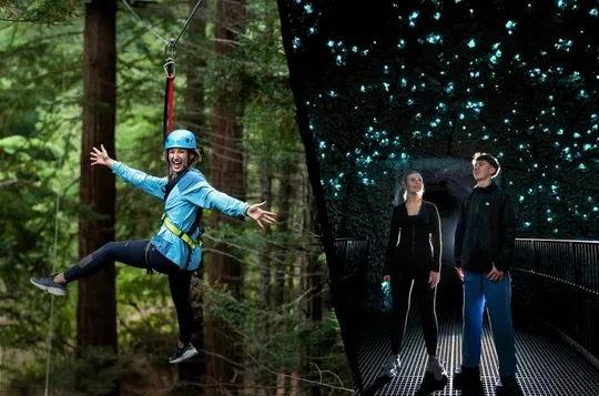 Redwoods Altitude High Ropes & Ziplines + Glowworms, Rotorua