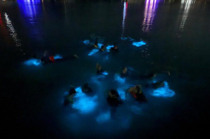 Bioluminescent Bay Adventure in Grand Cayman