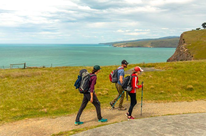 Lyttelton Shore Ex: 3.5 hr Guided Scenic Hike. Transport & Food