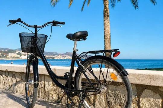 Full-Day City Bike Rental in Malaga