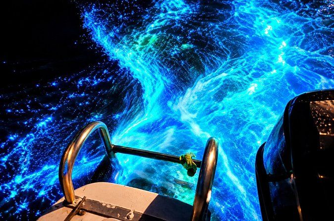 Bioluminescence Tour– A Gentle Journey into Nature’s Magic