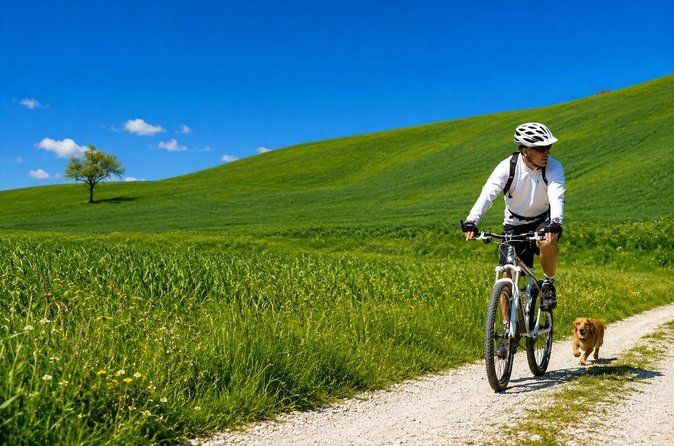 Siena: Chianti Guided E-Bike Tour with Lunch & 2 wine tastings