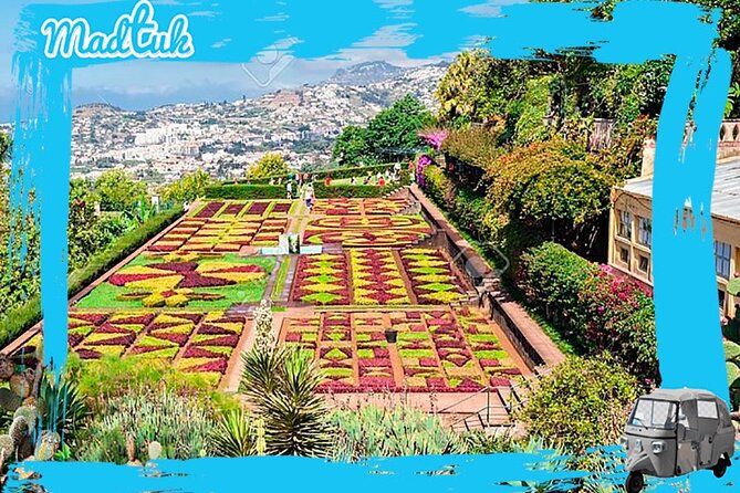 Madeira Botanical Gardens and Old Town Tuk Tuk Tour by MadTuk