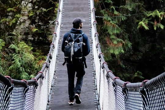 Guided Rainforest & Suspension Bridge Private Hike