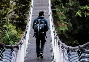 Guided Rainforest & Suspension Bridge Private Hike