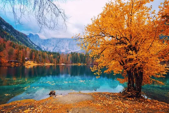 The Best from the Sunny Side of the Alps: Slovenia & Italy