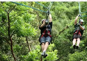 Mystic Mountain Tour from Montego Bay