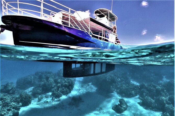 Private Underwater Excursion in the Bora Bora Lagoon