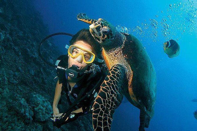 Antalya Scuba Diving W/Lunch & Transfers