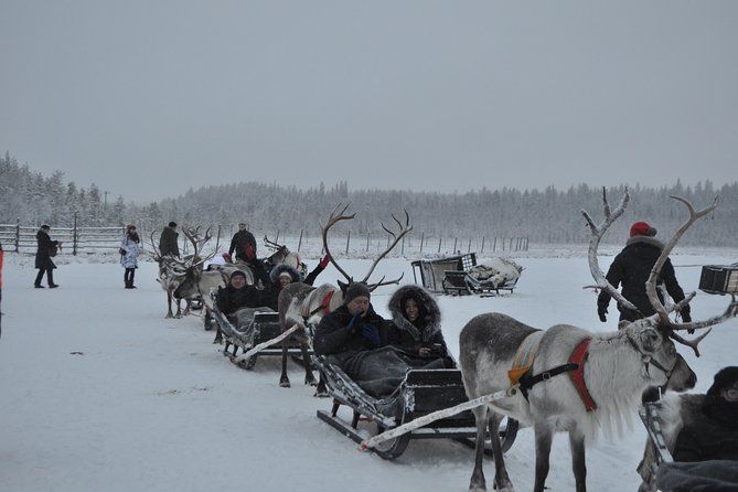 Group tour in Lapland