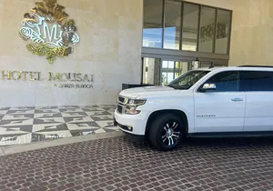 PRIVATE transportation from PVR Airport to South Coast