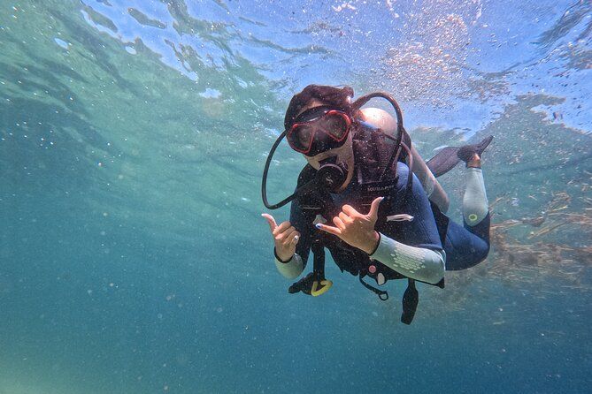 Los Cabos 1 tank dive to Land’s End (Certified Divers)