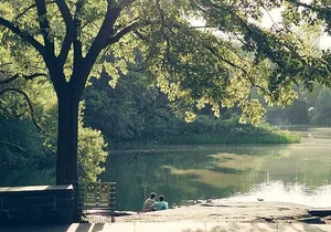 Capture NYC Personalized Photo Tours with a Local Expert