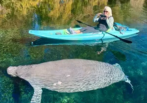 Silver Springs Premium Florida Wildlife Experience!