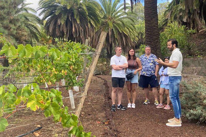 Taste Gran Canaria's unique wines