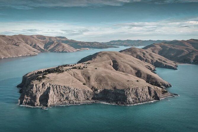 Half-Day Godley Head Scenic Drive & Guided Walk (Shore Excursion)