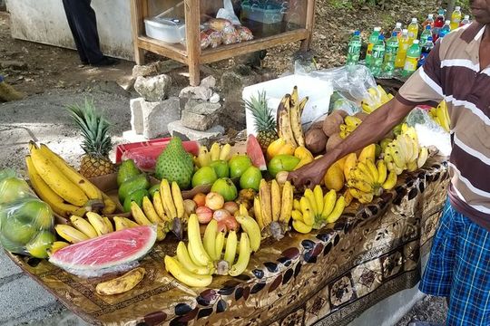 Ocho Rios Private Airport Transfer (MBJ Airport )