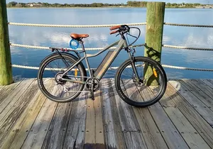 Electric Bike Rentals in The Villages Florida with Delivery