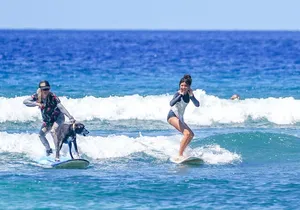 Semi Private Surf Lessons with Experienced Coaches