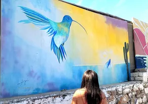 Art and Culture in Todos Santos