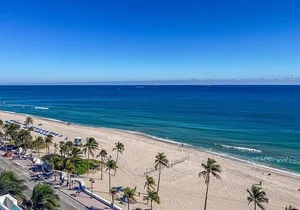 Customizable Miami Private Tour with English-speaking driver