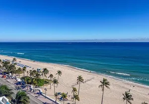 Customizable Miami Private Tour with English-speaking driver