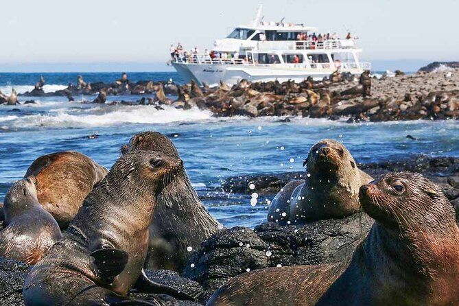 Phillip Island Wildlife and Penguin Tour with Cruise Option