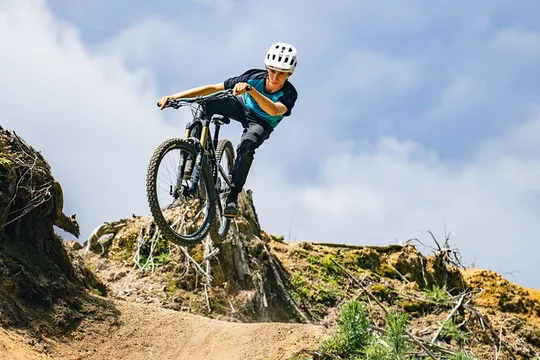 Half-Day Self-Guided Mountain Bike Journey through Whakarewarewa Redwood Forest