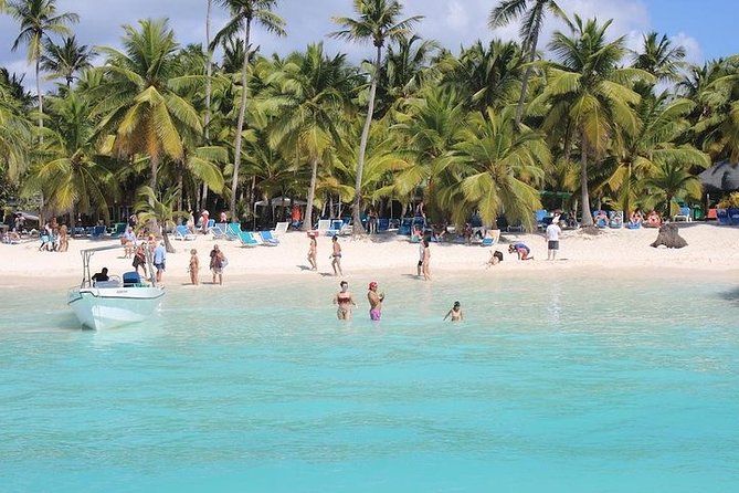 Saona Island Excursion by Catamaran and Speedboat (Full Day)