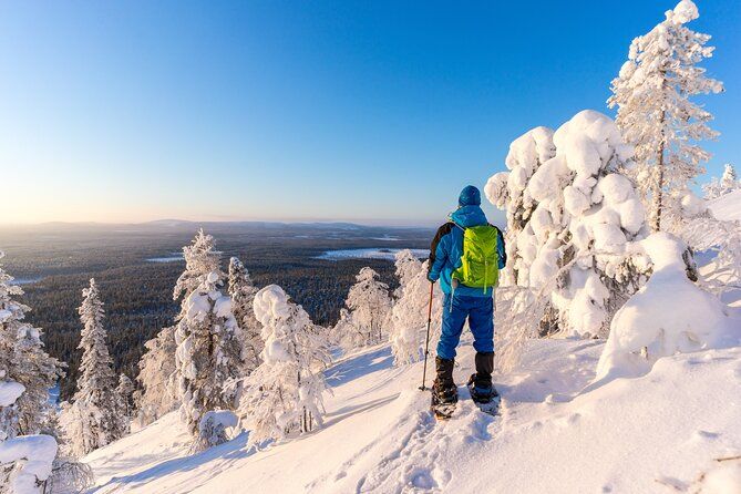 Lapland Winter Experience