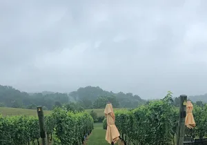 Virginia Winery Excursion by Luxury Vehicle Three wineries