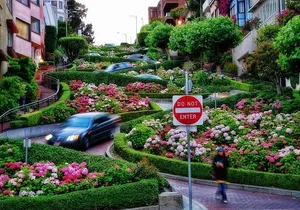 Private SF Highlights & Stanford Shopping Tour