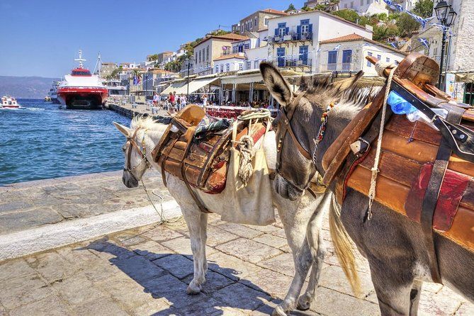 Hydra Private Day Trip by Ferry from Athens with Transfers