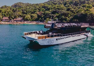 Luxury Mega Yacht 100' Limousine of the Sea 2: Puerto Vallarta