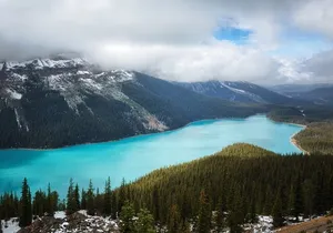 Discover 9 Iconic Banff Sights in a Day!