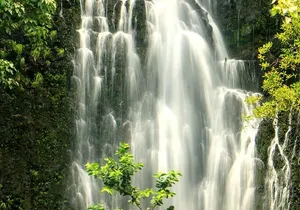 Shore Excursion: Road To Hāna Tour for Pride Of America Passengers