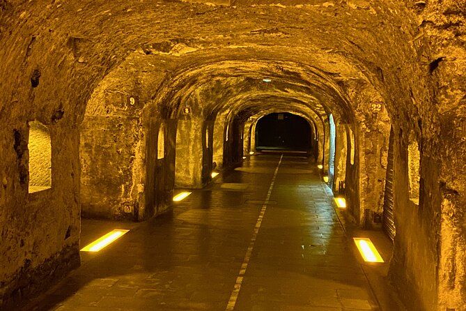 Moet Chandon Champagne Cellars Tastings Private trip from Paris